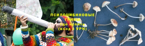 бошки Абаза