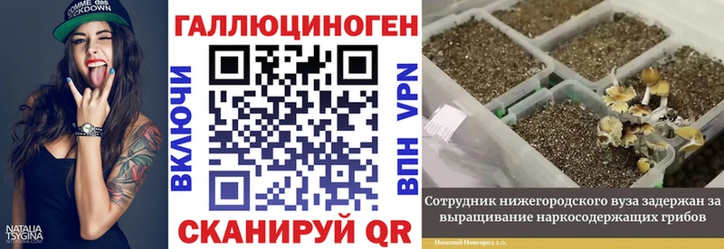 где купить наркотик  Переславль-Залесский  МЕГА сайт  Галлюциногенные грибы GOLDEN TEACHER 